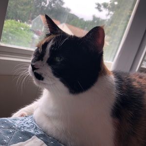 Meet your Posher, Crystal